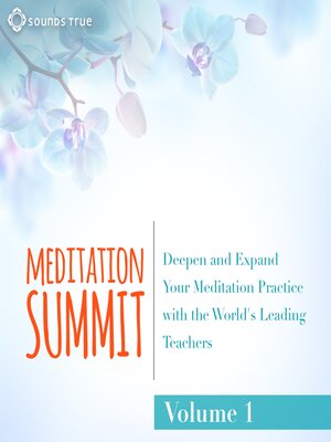 cover image of The Meditation Summit
